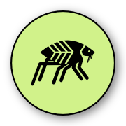 Flea - Quick Kill Pest Control