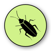 Cockroach - Quick Kill Pest Control
