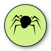 Spider - Quick Kill Pest Control